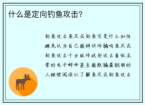 什么是定向钓鱼攻击？